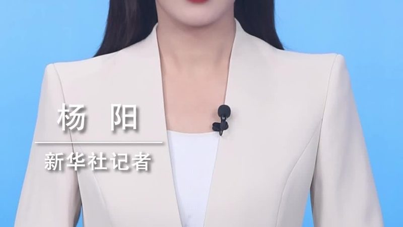 软件测试流程与步骤：面试官眼中的关键